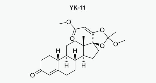 YK11